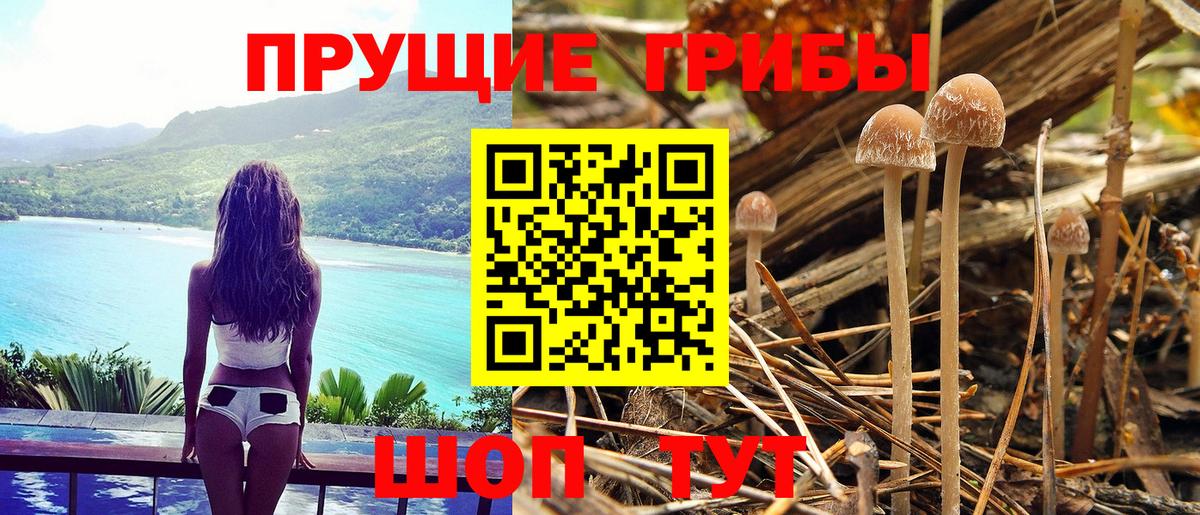Галлюциногенные грибы Psilocybe  Вход с VPN  Псилоцибиновые грибы Cubensis  Владивосток 