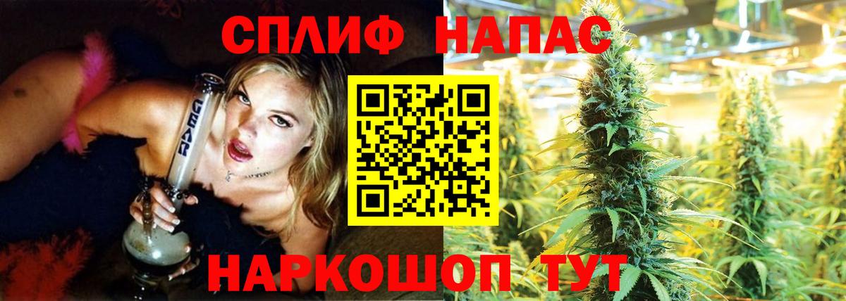 Шишки марихуана семена  Бошки марихуана план  Конопля AK-47  Шишки марихуана THC 21%  Вход с VPN  Владивосток 